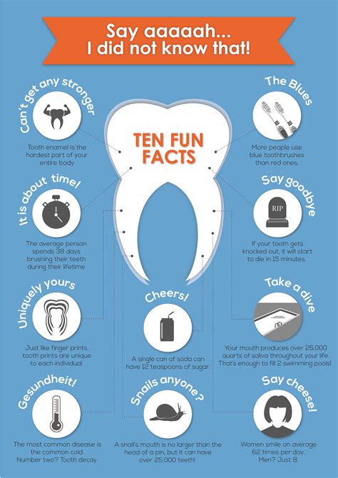 10 Fun Facts About Your Teeth Infographic | Encore Dental