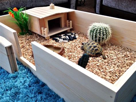 Tortoise care, Tortoise table, Tortoise habitat