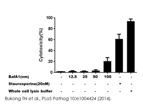 LDH Assay Kit (Cytotoxicity) (ab65393/K313-500) | Abcam