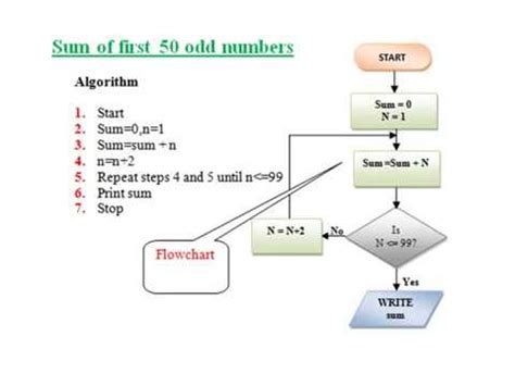 Algorithm Examples