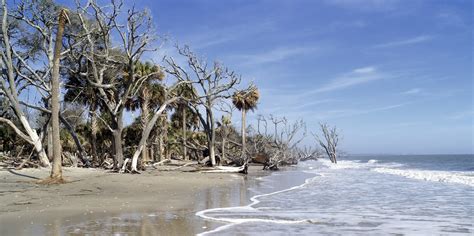 Dancing 'Cross the Country: Marvelous Places: Edisto Island