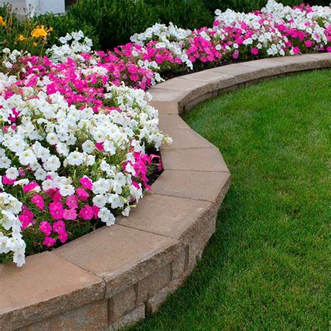 10 Curb Appeal Landscaping Ideas You Can DIY | 花壇のデザイン, 前庭の造園, 花畑