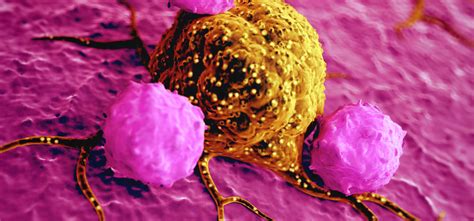 Common Gamma Chain Cytokines in Cancer Immunotherapy | Biocompare.com