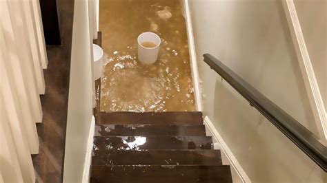 Average Basement Flooding Repair Costs In 2024 – Forbes Home