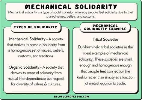 Mechanical Solidarity: 12 Examples and Definition (2024)