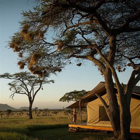 Siringit Serengeti Camp in Serengeti National Park - Luxury Safari Camp ...