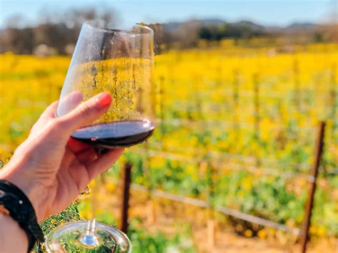 Spending the Day in Healdsburg - The Best Healdsburg Wineries to Visit - Passports and Preemies