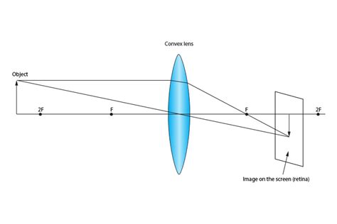 Convex And Concave Mirrors And Lenses