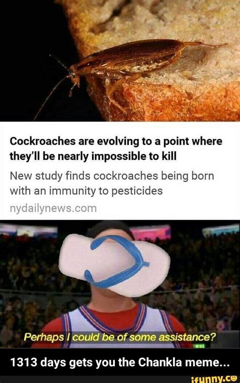 Cockroachmeme memes. Best Collection of funny Cockroachmeme pictures on iFunny