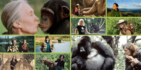 Top 15 Inspirational Animal Rights Activists (Female Heroes)