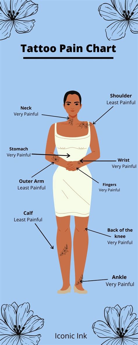 Top 87+ about tattoo pain chart female best - Billwildforcongress