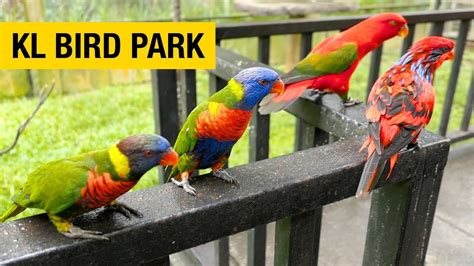 harga tiket kl bird park