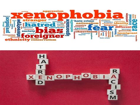 What Xenophobia Is With Examples