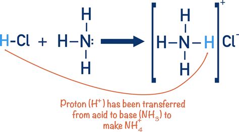 Acids and Bases (A-level) | ChemistryStudent