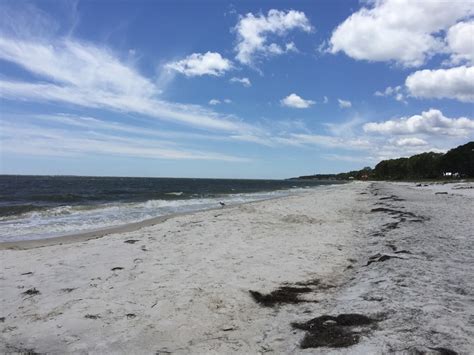 Carrabelle Beach in Carrabelle, FL (2020 Photos, Reviews, Info, Map) | BeachCatcher