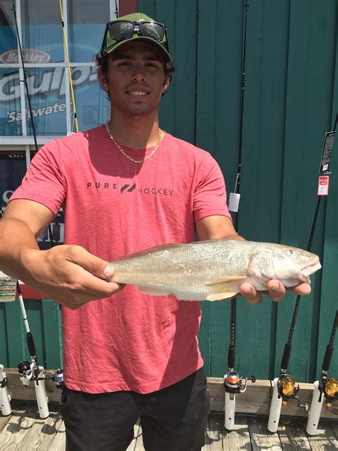 Extra Large Sea Mullet Along OBX Beaches 7/6/20 | Bob's Bait & Tackle