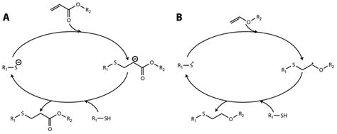 Thiol-ene reaction mechanisms | Download Scientific Diagram