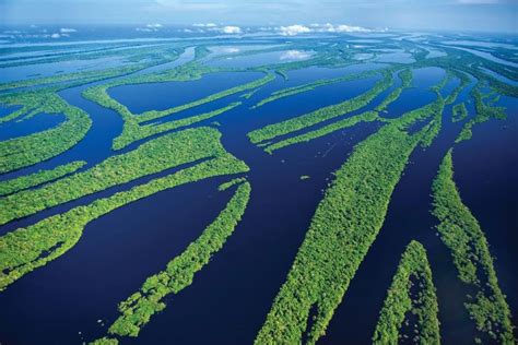 Parque Nacional de Anavilhanas | Rio amazonas, Viajar ao redor do mundo ...