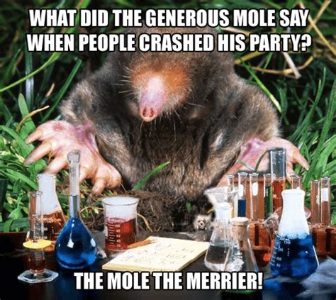 Fun Chemistry Mole Puns For Mole Day