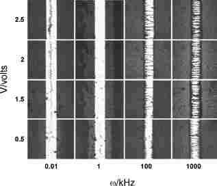 Optical microscopy images of steady-state configurations of 800 nm... | Download Scientific Diagram