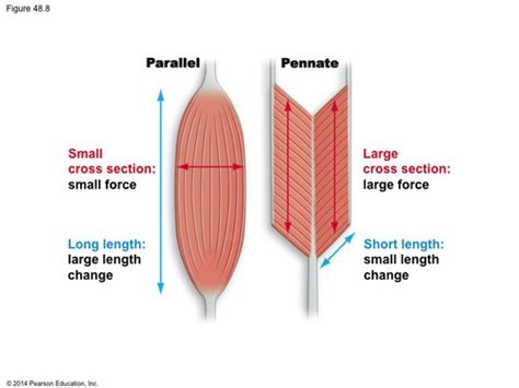 Once Again Addressing Force – (Im)Possibilities