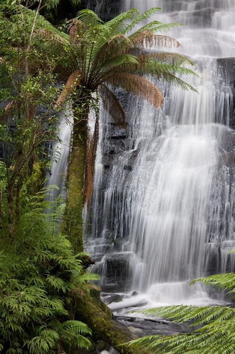 Triplet Falls, Otway National Park | These are stunning wate… | Flickr