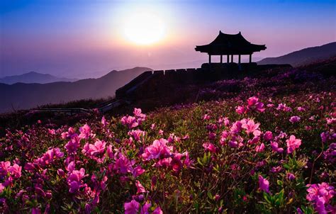 South Korean Landscape Wallpapers - 4k, HD South Korean Landscape Backgrounds on WallpaperBat