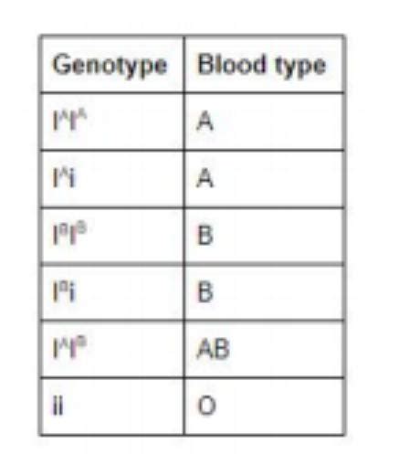 Blood type is determined through multiple alleles: A, B, O. Alleles A and B are codominant ...