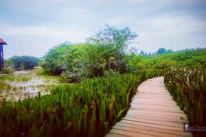 Beddagana Wetland Park | Attractions in Sri lanka