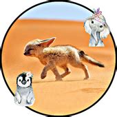 ดาวน์โหลด cute baby animals wallpaper APK สำหรับ Android