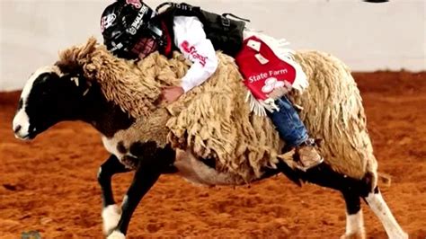 Todo listo para el Fort Worth Stock Show & Rodeo 2023 – Telemundo Dallas (39)