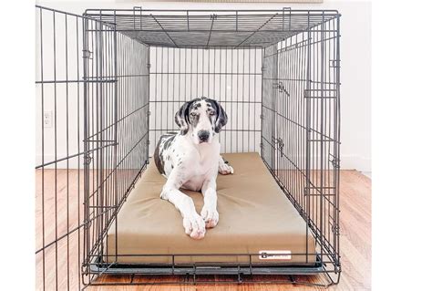 Orthopedic Dog Crate Bed | Big Barker