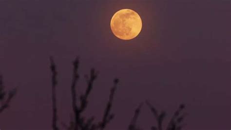 Pink Moon 2023: Full moon of spring appears in the sky; check beautiful ...