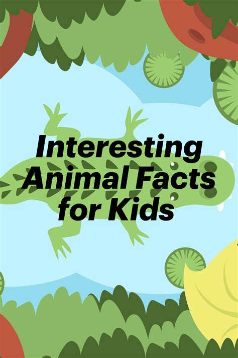 Amazing animal facts for kids – Artofit