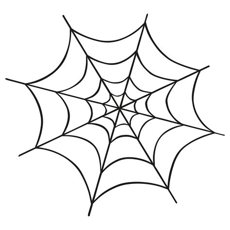 tela de araña dibujada a mano sobre fondo transparente 18251092 PNG