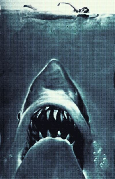 The 20 Most Terrifying Shark GIFs | Ik hou van jou, Blauw