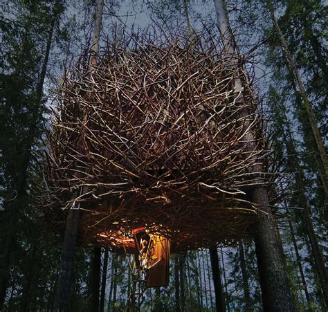 The Bird's Nest | A bird's eye view from Kent Lindvall and Bertil Hartström