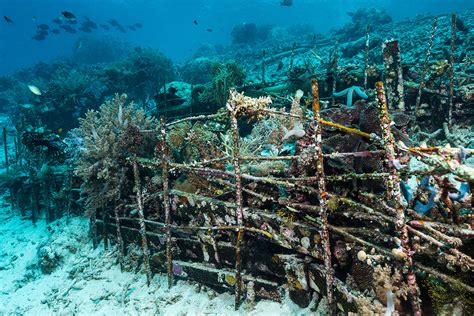 Artificial reef spots can help much to both surfers and nature