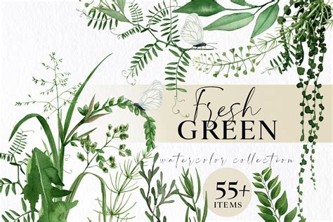 Watercolor Greenery Clipart With Plants - Design Cuts