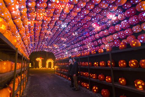 Going to the Jack O’Lantern Blaze? Here's More Fall Fun in Westchester - NJ Family