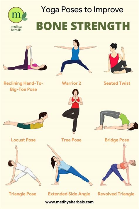 5 Best Yoga Asana & Weight Bearing Exercises to Improve Bone Density