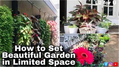 How to Set a Beautiful Garden in Limited Space | Gardening Ideas for Home |Garden Tour | 100 ...