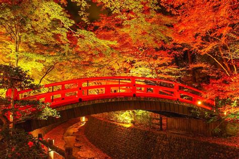 10 Best Places to See Autumn Leaves in Kyoto 2022 | Japan Wonder Travel ...