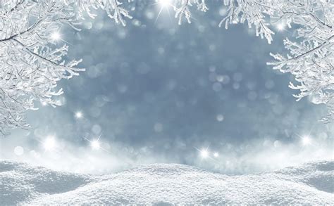 Winter Backdrops Snowy Backdrop Glitter Background HJ02701 | Winter ...