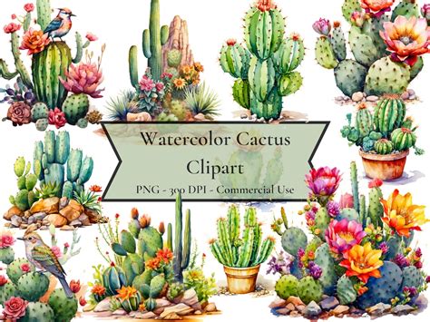 Watercolor Cactus Clipart, Desert Cactus Clipart, Desert Cacti, Succulent Clipart, PNG Format ...