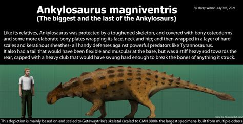 Ankylosaurus Size by Harry-the-Fox on DeviantArt