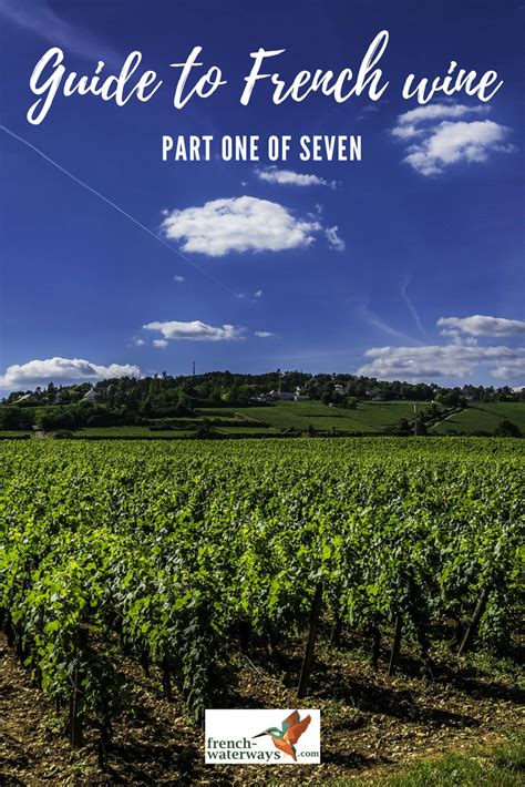 A brief guide to French wine. Part one of our guide to French wine looks at the history of wine ...