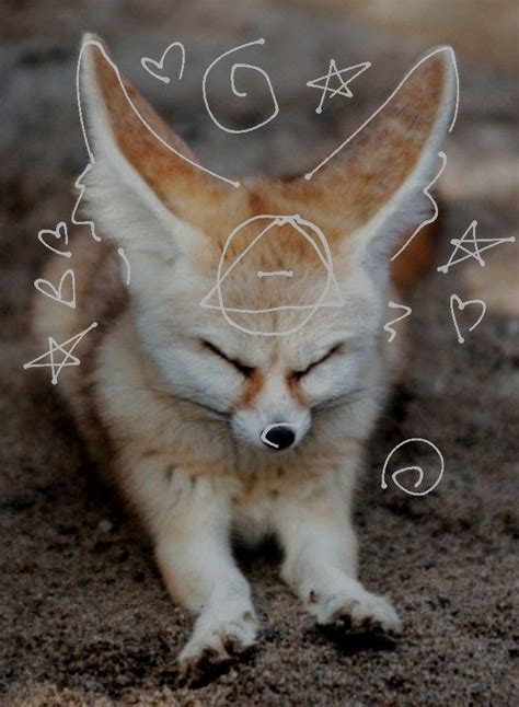 Fennec Fox Therian ☆