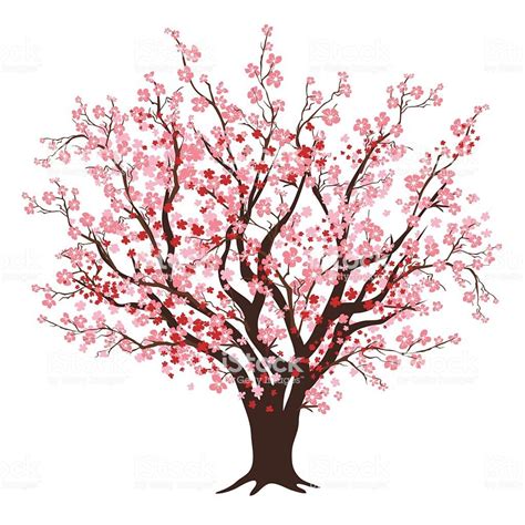 Cherry Blossom Tree Pencil Drawing | Free download on ClipArtMag