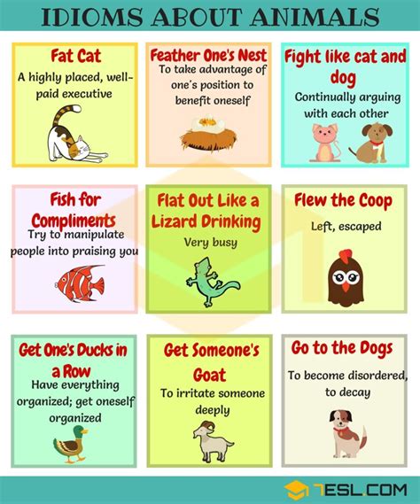 Idioms with animals